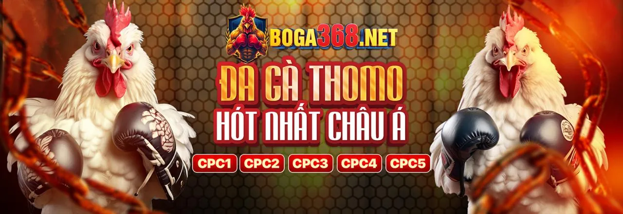 Hình ảnh chính 68gb cổng game, cổng game cá cược trực tuyến hàng đầu